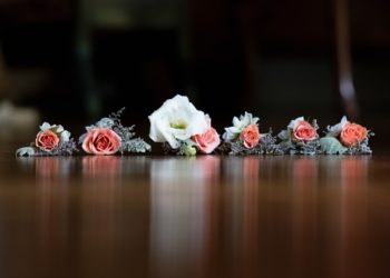 Things I learned after reading Islami Shadi