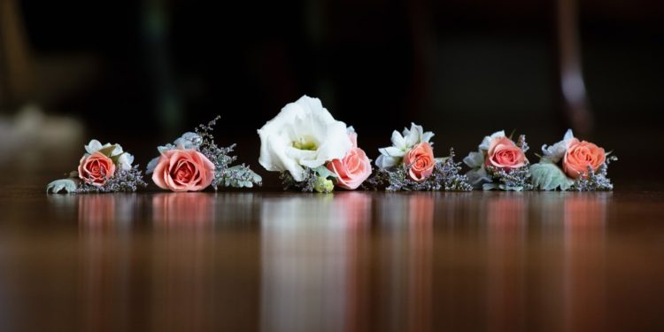 Things I learned after reading Islami Shadi