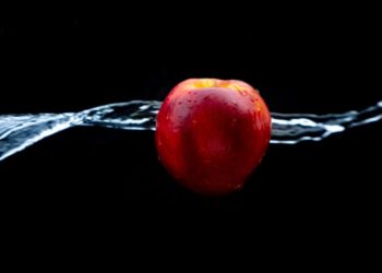 3 Things I Learned from the Evolution of Apple Logo