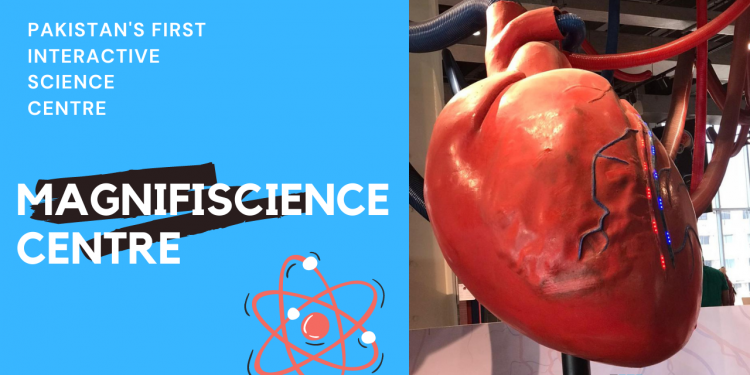 TDF magnifiscience centre