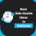 Best Side Hustle Ideas in Pakistan