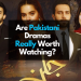 Breaching All Social Norms Of Our Society Are Pakistani Dramas Really Worth Watching-Localwriterpk
