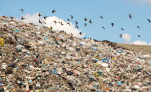 karachi waste management system