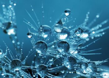 Thought-Provoking Conversation in Man chalay ka sauda