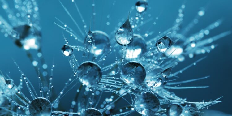 Thought-Provoking Conversation in Man chalay ka sauda