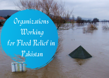 Top Authentic Organizations Working for Flood Relief in Pakistan - Localwriterpk