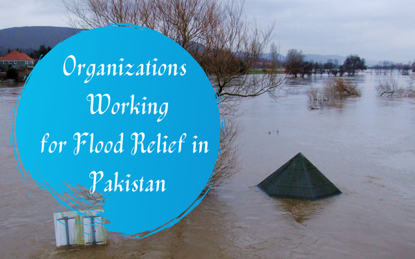 Top Authentic Organizations Working For Flood Relief In Pakistan ...