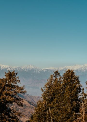 abu-hurairah-Mushkpuri top_c-unsplash