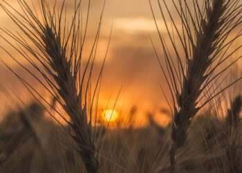 What is Sunblock Cream Used For - Localwriterpk