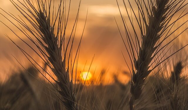 What is Sunblock Cream Used For - Localwriterpk